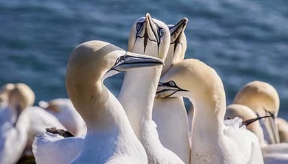 英超激烈争夺，豪门战火升腾