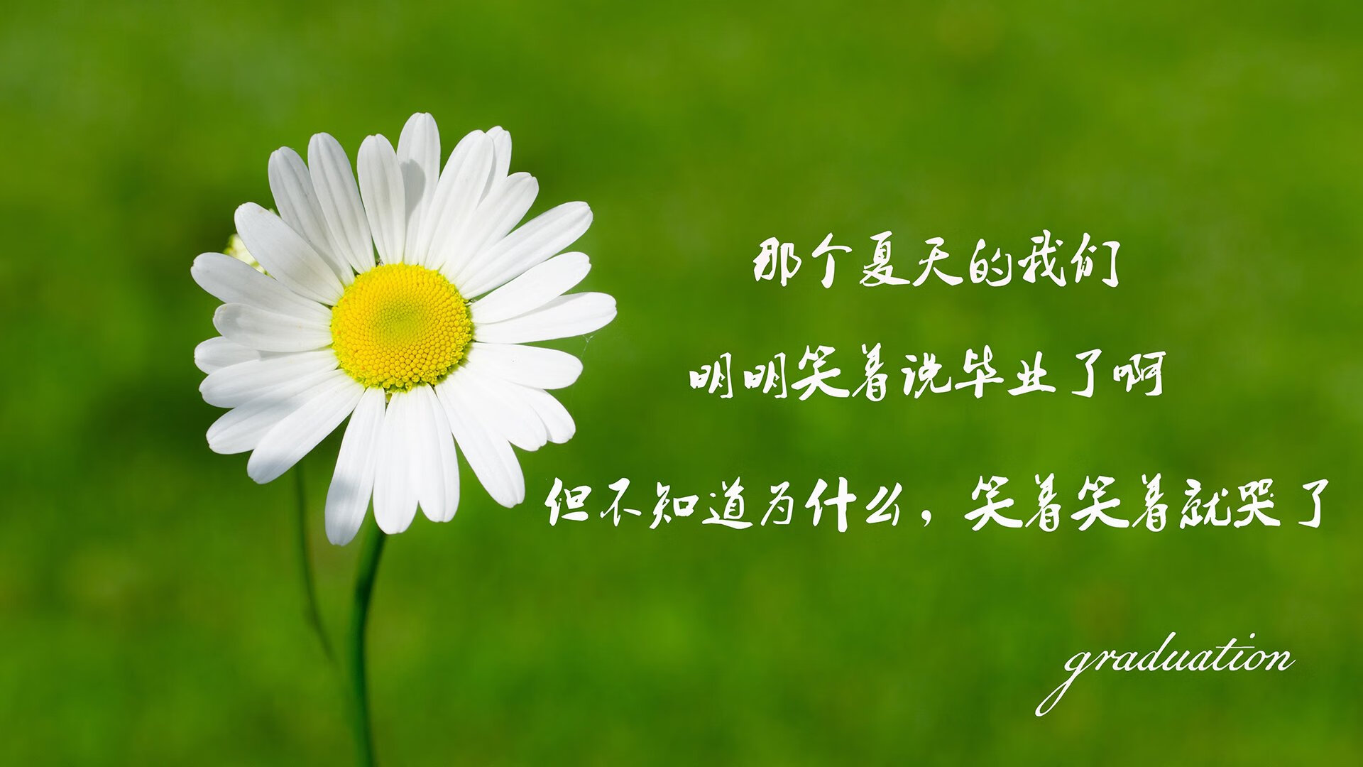 “青训场地全面升级，满足日益增长的训练需求”，青训要求