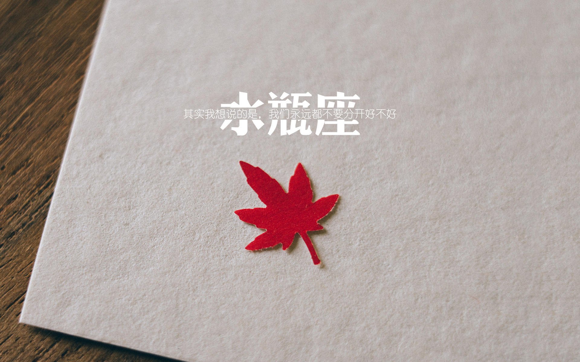 今年联盟助攻榜：最魔幻传球瞬间盘点！
