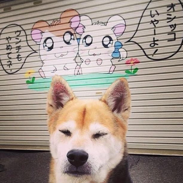 东契奇延续火热手感带队连胜，东契奇最精彩的一场比赛