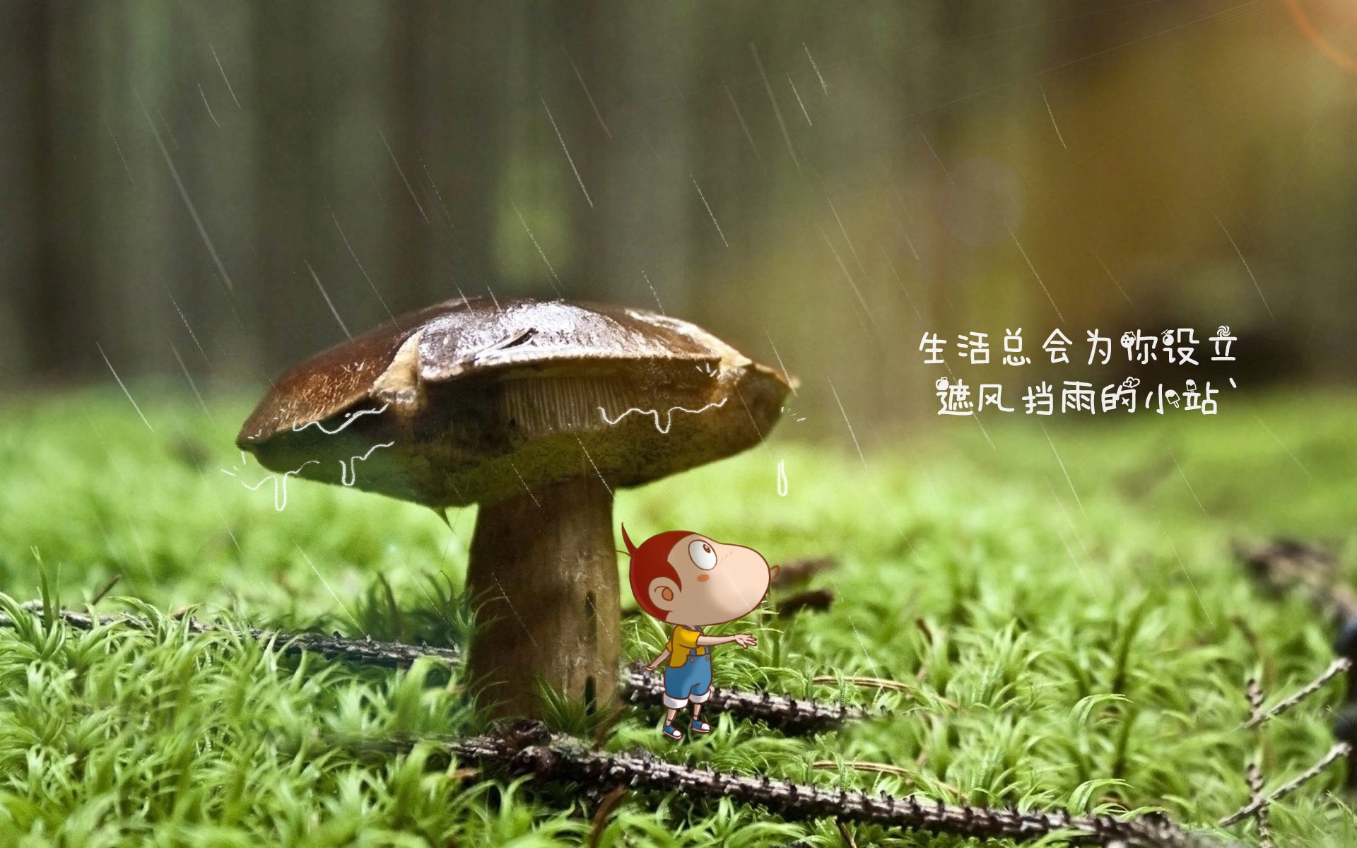乌迪内斯攻防兼备，战胜劲旅升至前茅，乌迪内斯最新阵容