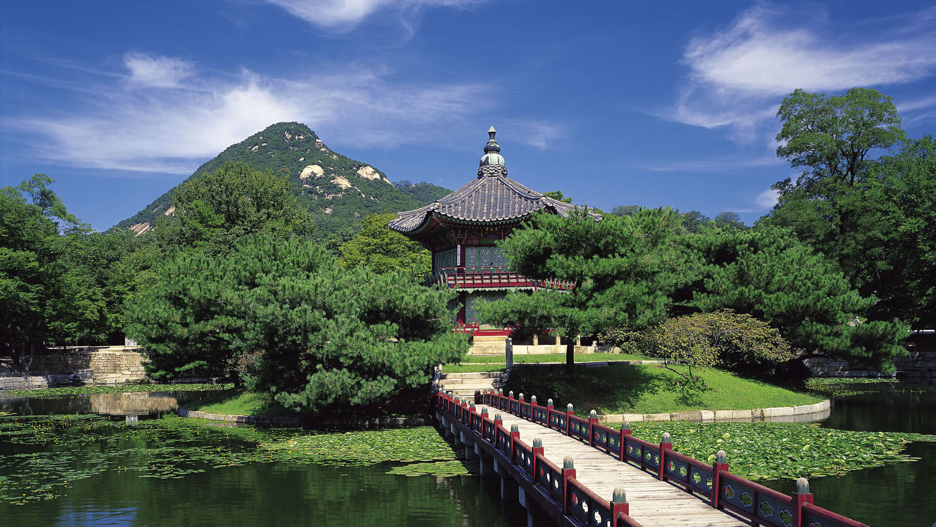 维达德卡萨布兰卡签约新医疗团队，提升球员健康管理，卡维达现状