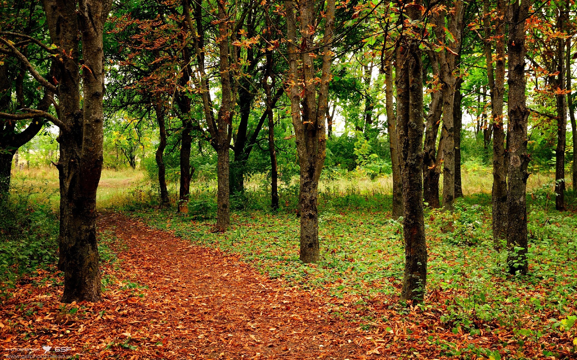 国际足球明星参与全球环保行动，为青少年树立榜样，国际著名足球明星
