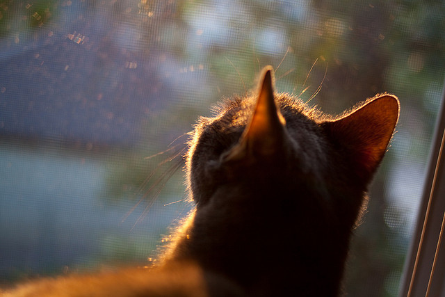西甲德比战：最后一分钟绝平引发狂潮，西甲德比最大比分