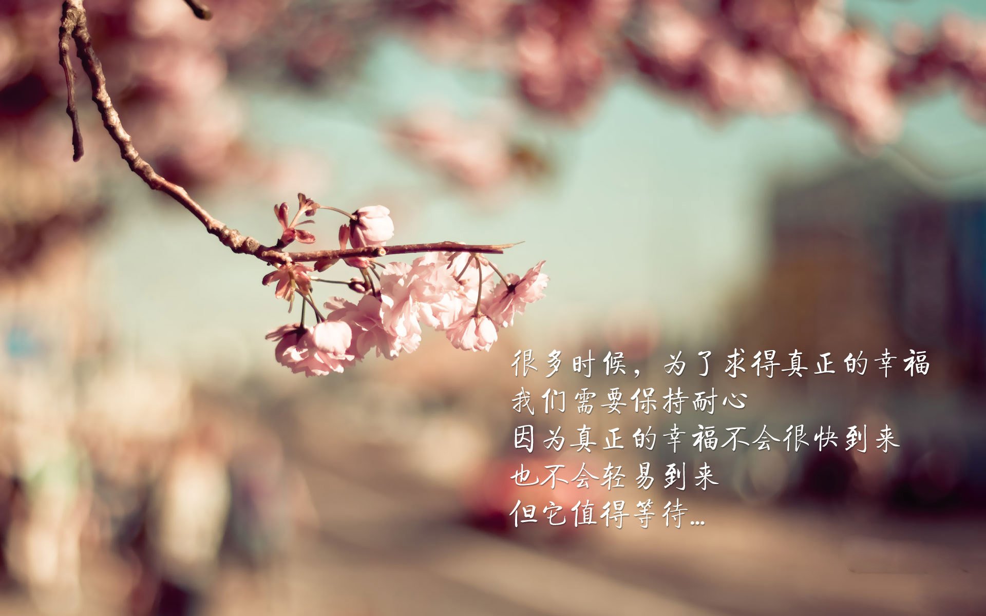 谢林男篮在国际邀请赛中表现亮眼，迈步国际舞台，谢琳百科