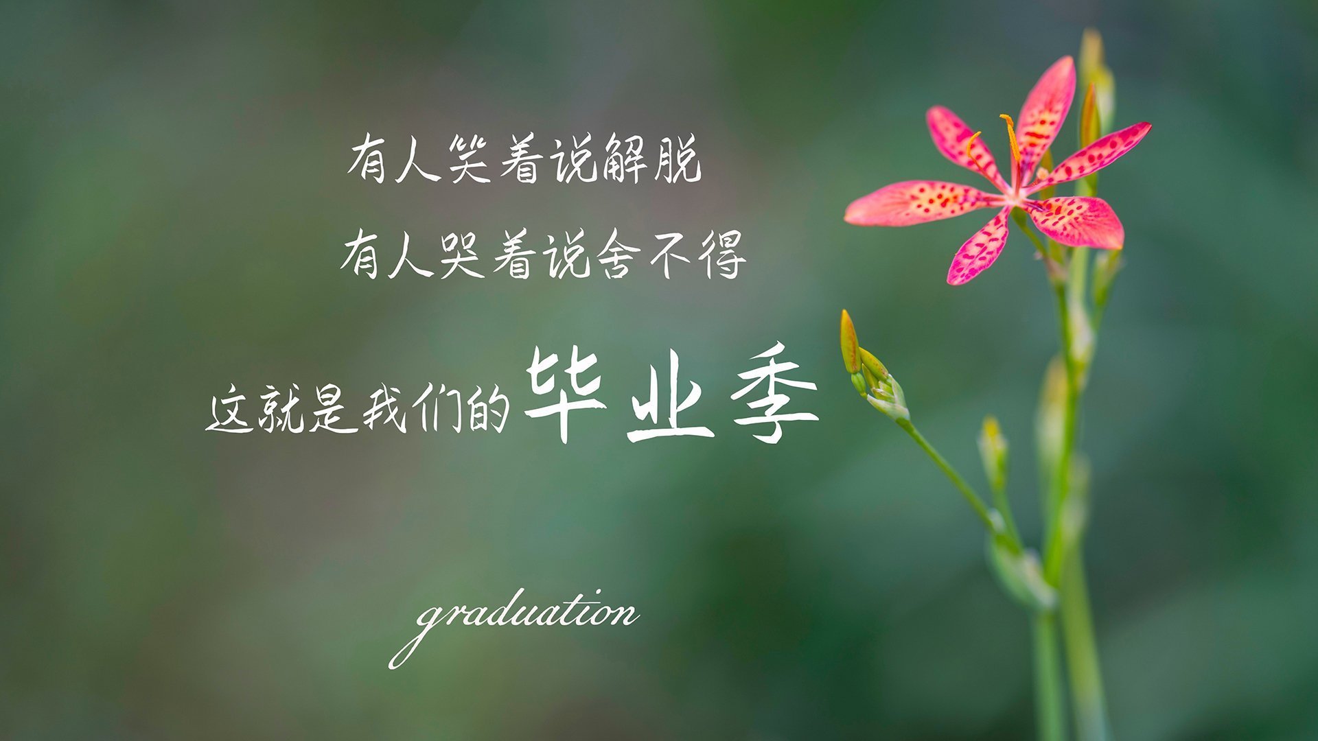 鹈鹕拍摄宣传照球员造型引发网友热烈讨论，鹈鹕正面照